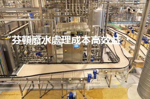“芬頓廢水處理成本高效益，環(huán)保投資新選擇”